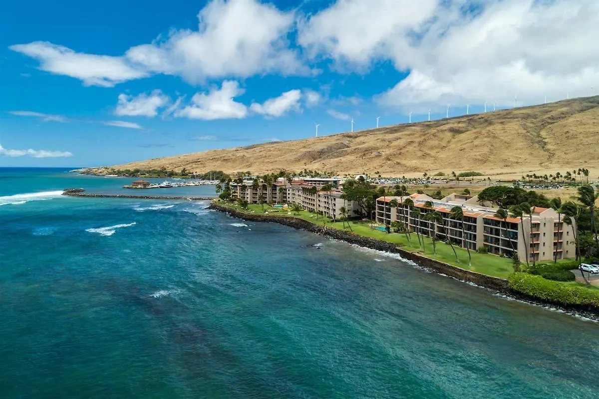 Willa Oceanfront Abode Remodeled In 2021 Sleeps 6 Wailuku 0*,